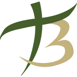 trainandbrain Logo