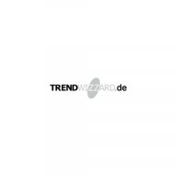 Trendwizzard GmbH Logo
