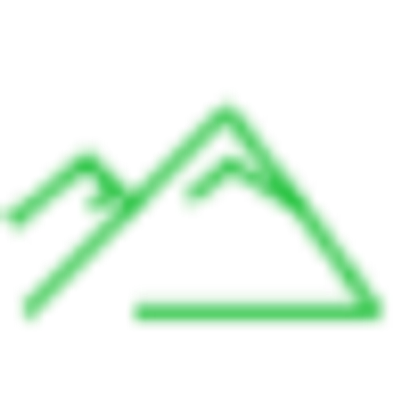 Triptransfer.ch Logo