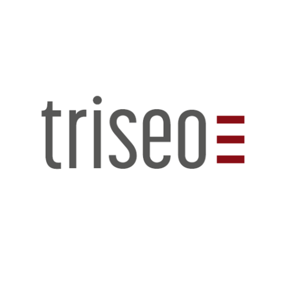 triseo GmbH Logo