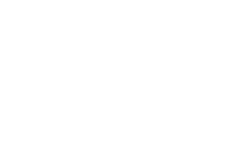 Hans Truffel Schnittblumen Großhandel GmbH Logo