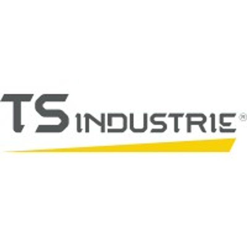 TS Industrie GmbH Logo