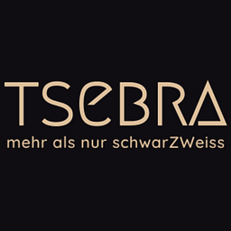 TSEBRA - kreatives Design  I  Marketing Logo