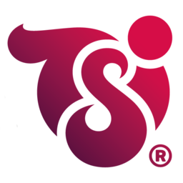 TSI GmbH & Co. KG Logo