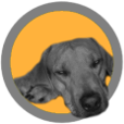 Tuinkussen.nl Logo