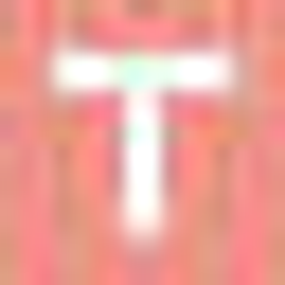tummytox.de Logo