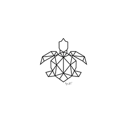 Turtleandcase Logo