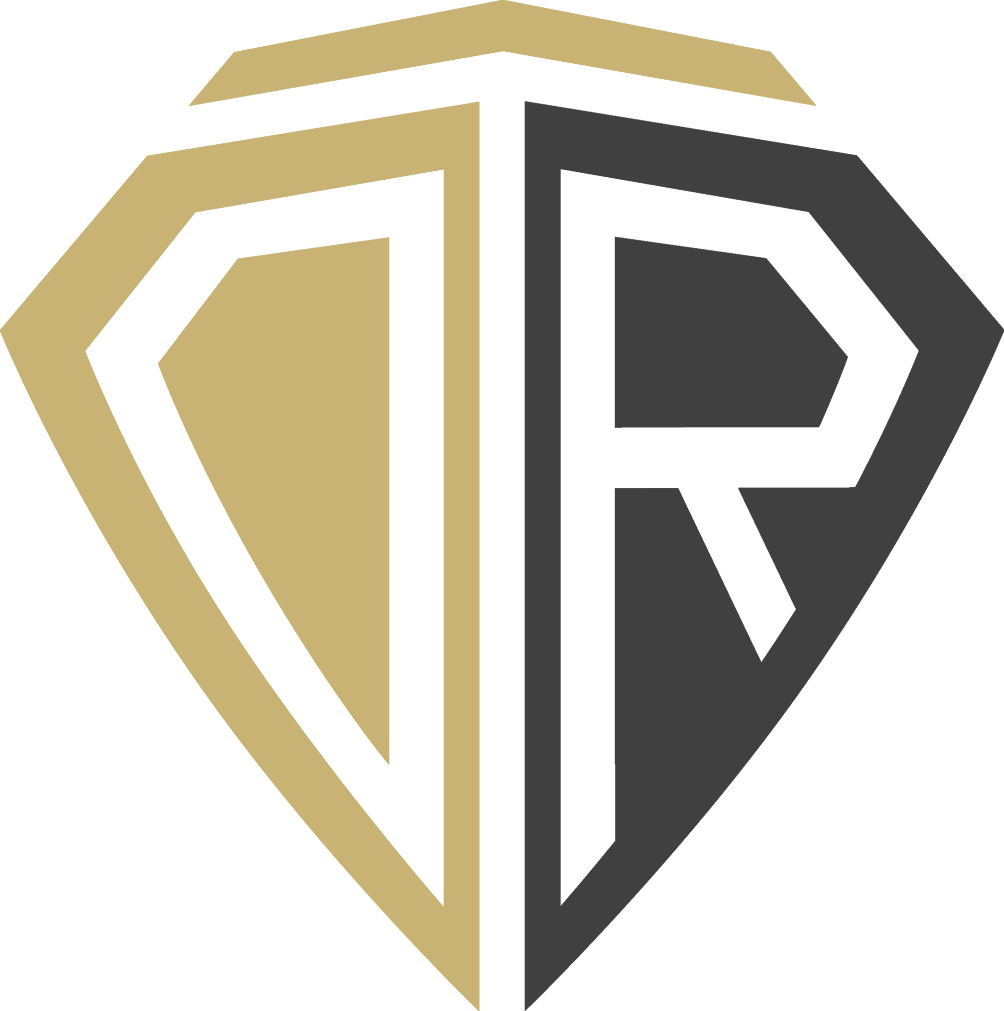 Twinergy Academy Logo