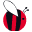 universumsum.de Logo