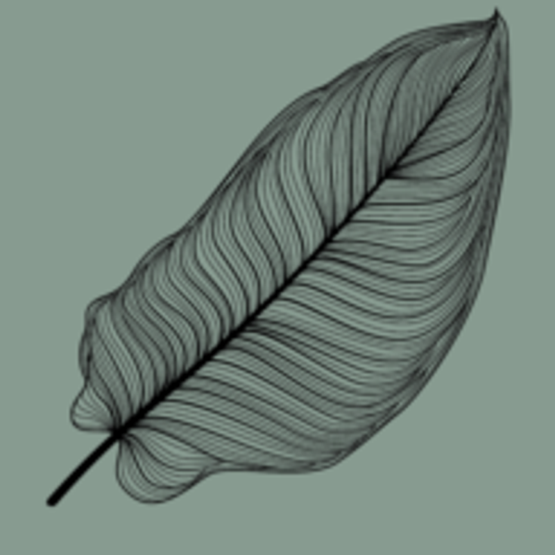 Urban Jungle Logo