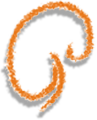 Litz Annette Dr.med. u. Dötsch Martin Dr.med. Fachärzte für Urologie Logo