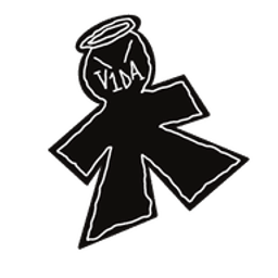 V1da Store Logo