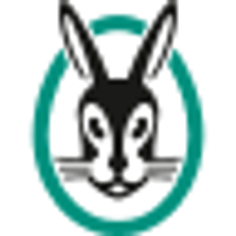 Vaillant GmbH Logo