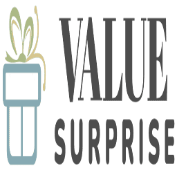 Valuesurprise Logo