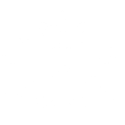 Valysond Logo