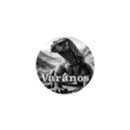 Varanos24 Logo