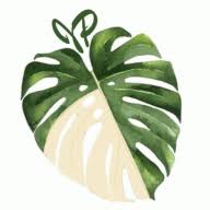 variegata.de Logo