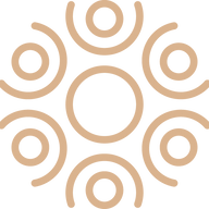 Vaya Vida Logo