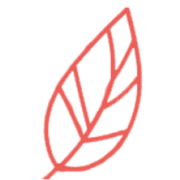 Veganpaws Logo