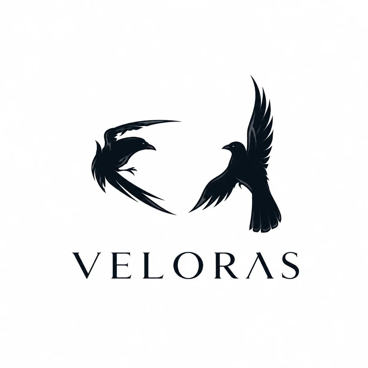 VELORAS Logo