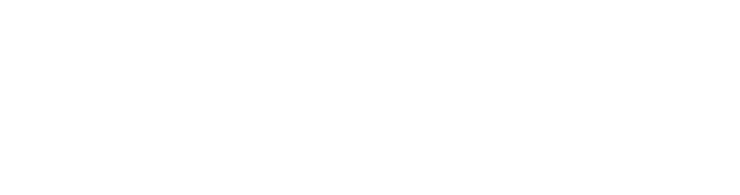 Velvet Air - Private Jet Charters Logo
