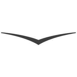 venice-beach.com Logo