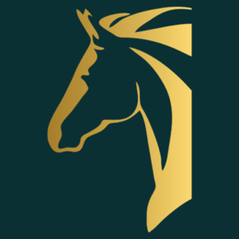Versicherung Schimmel Logo