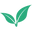 VESA Logo