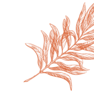 Via Monte Napoleone Italienisches Restaurant Logo