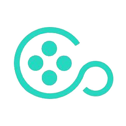 VideoSolo Logo