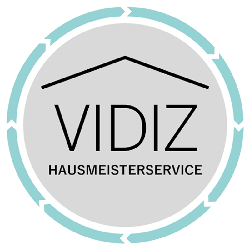 VIDIZ Logo