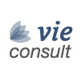 vieconsult GmbH Logo