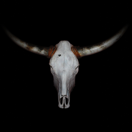 VIER FÜR TEXAS GmbH CoKG Logo
