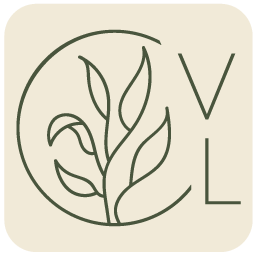Hotel Villa Lago Logo