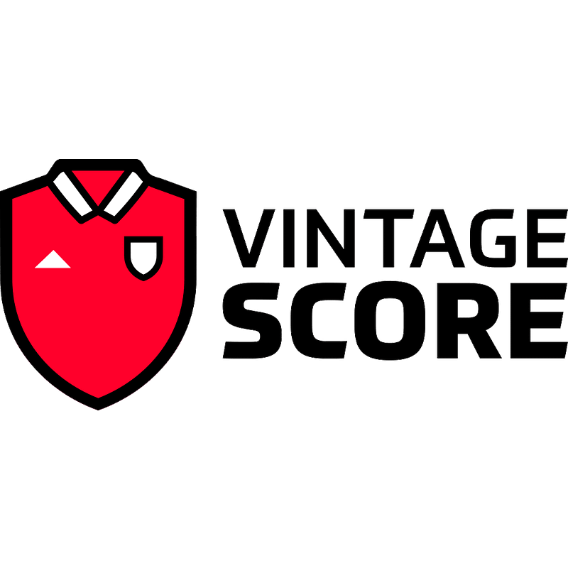VINTAGESCORE Logo
