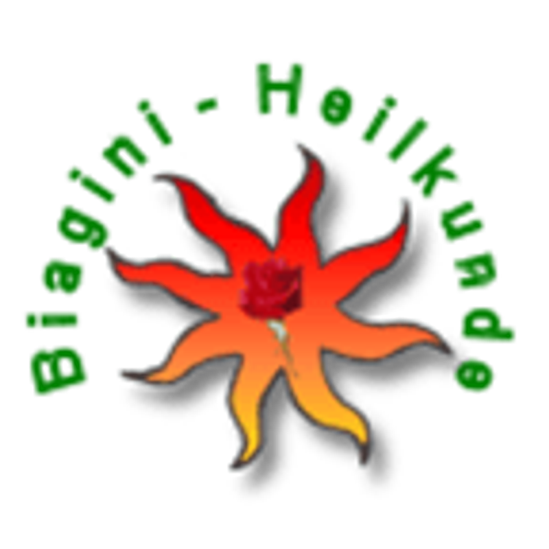Viola Biagini Logo