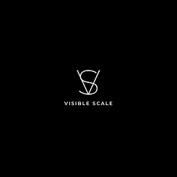VisibleScale Logo