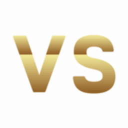 Vision Success Logo