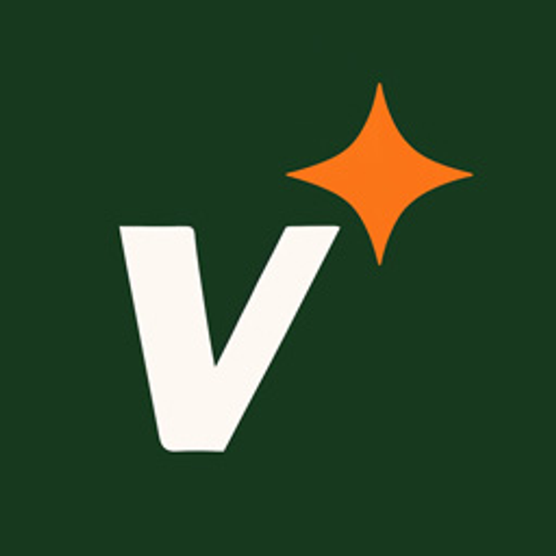 Visuarex Creative Studio Logo