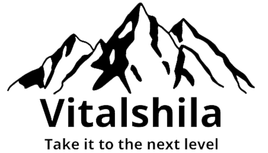 Vitalshila Logo