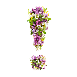 Vitaminfuchs Logo