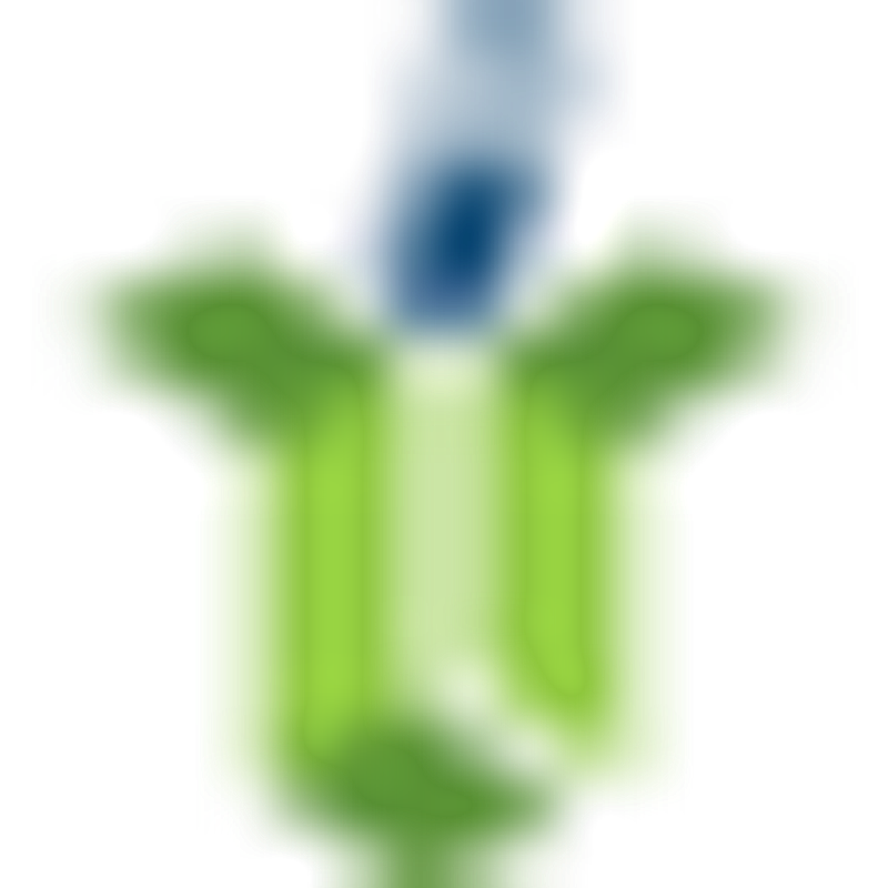 vitenda.de Logo