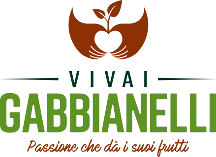 Vivai Piante Gabbianelli Logo