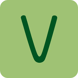 Vivellify Logo