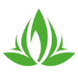 Viweedy Logo