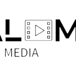 Visual Mind Media Logo