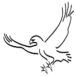 vogel-modellsport.de Logo