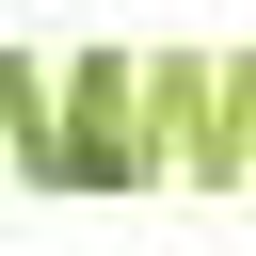 Roth Dieter Logo