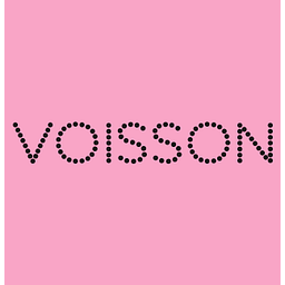 Voisson Logo