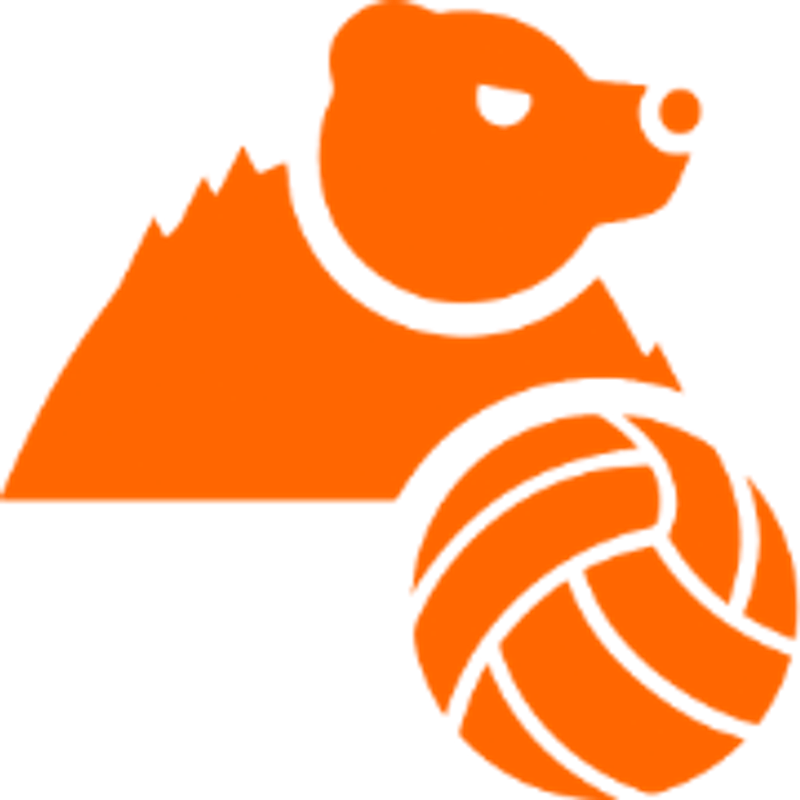 Der VolleyBÄR Logo